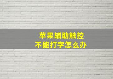 苹果辅助触控不能打字怎么办