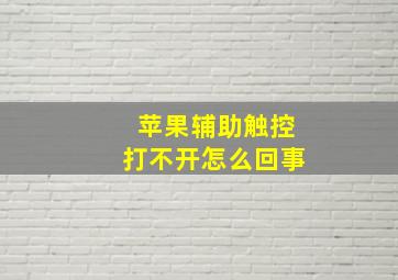 苹果辅助触控打不开怎么回事