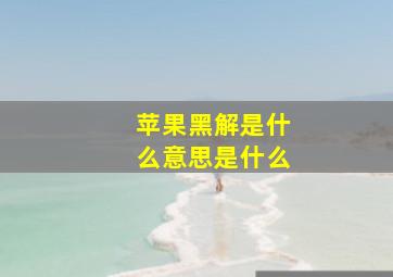 苹果黑解是什么意思是什么