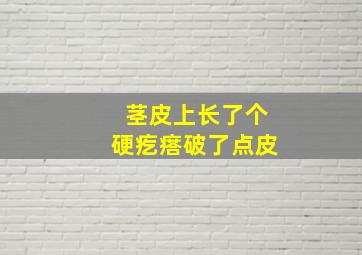 茎皮上长了个硬疙瘩破了点皮