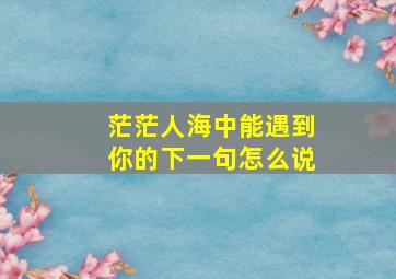 茫茫人海中能遇到你的下一句怎么说