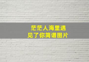 茫茫人海里遇见了你简谱图片