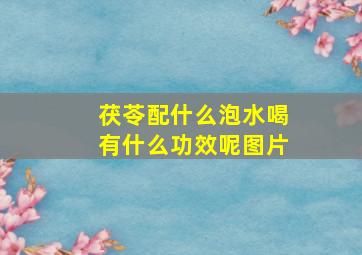 茯苓配什么泡水喝有什么功效呢图片