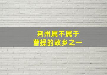 荆州属不属于曹操的故乡之一