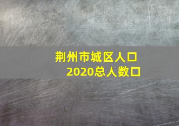 荆州市城区人口2020总人数口