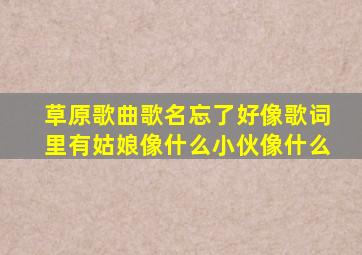 草原歌曲歌名忘了好像歌词里有姑娘像什么小伙像什么