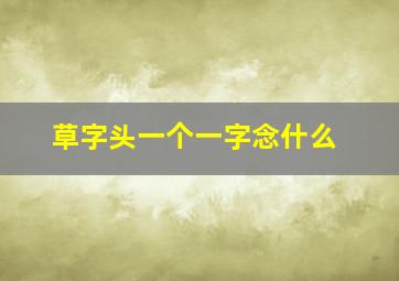 草字头一个一字念什么