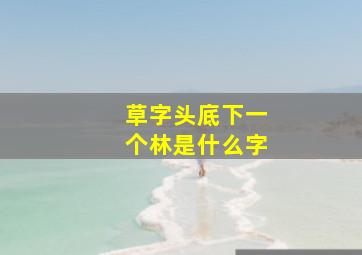 草字头底下一个林是什么字