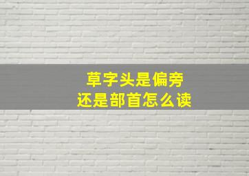 草字头是偏旁还是部首怎么读