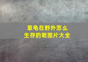 草龟在野外怎么生存的呢图片大全