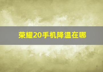 荣耀20手机降温在哪