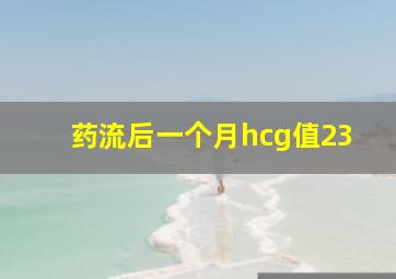 药流后一个月hcg值23