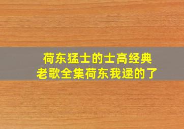 荷东猛士的士高经典老歌全集荷东我逯的了