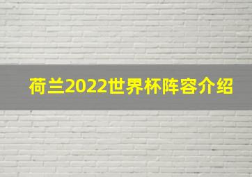 荷兰2022世界杯阵容介绍