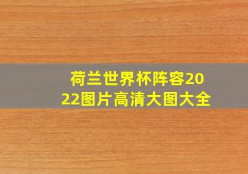 荷兰世界杯阵容2022图片高清大图大全