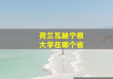 荷兰瓦赫宁根大学在哪个省