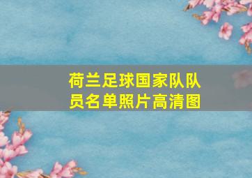 荷兰足球国家队队员名单照片高清图