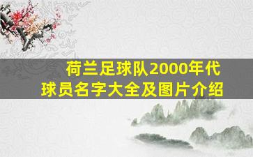 荷兰足球队2000年代球员名字大全及图片介绍