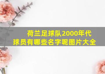 荷兰足球队2000年代球员有哪些名字呢图片大全