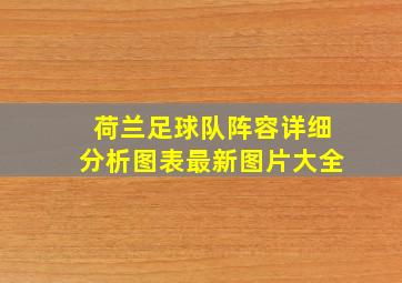 荷兰足球队阵容详细分析图表最新图片大全