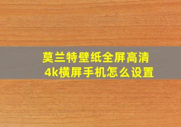 莫兰特壁纸全屏高清4k横屏手机怎么设置