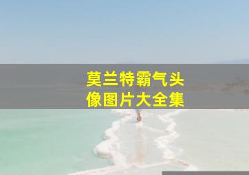 莫兰特霸气头像图片大全集