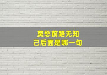 莫愁前路无知己后面是哪一句