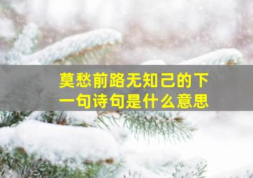 莫愁前路无知己的下一句诗句是什么意思