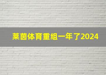 莱茵体育重组一年了2024