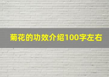 菊花的功效介绍100字左右