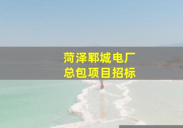 菏泽郓城电厂总包项目招标