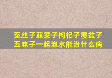 菟丝子韮菜子枸杞子覆盆子五味子一起泡水能治什么病