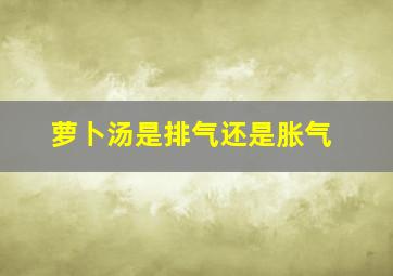 萝卜汤是排气还是胀气