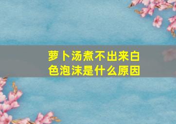 萝卜汤煮不出来白色泡沫是什么原因