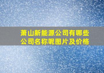 萧山新能源公司有哪些公司名称呢图片及价格