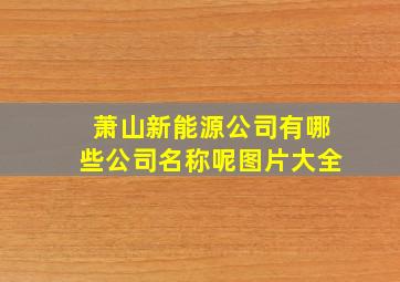 萧山新能源公司有哪些公司名称呢图片大全