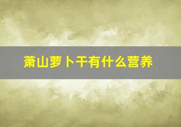 萧山萝卜干有什么营养