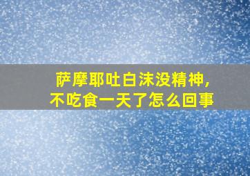 萨摩耶吐白沫没精神,不吃食一天了怎么回事