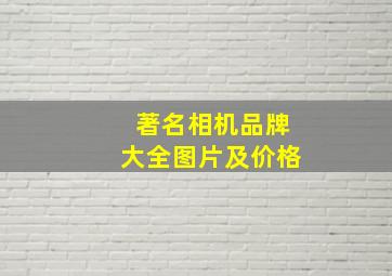 著名相机品牌大全图片及价格