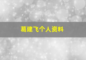 葛建飞个人资料