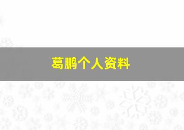 葛鹏个人资料