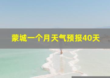 蒙城一个月天气预报40天