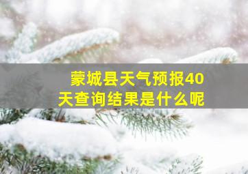 蒙城县天气预报40天查询结果是什么呢