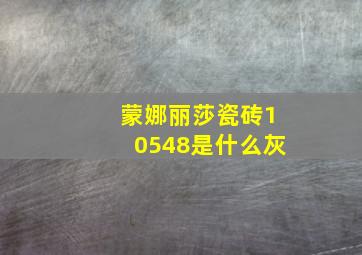 蒙娜丽莎瓷砖10548是什么灰