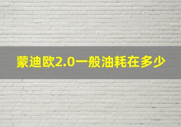 蒙迪欧2.0一般油耗在多少