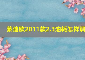 蒙迪欧2011款2.3油耗怎样调