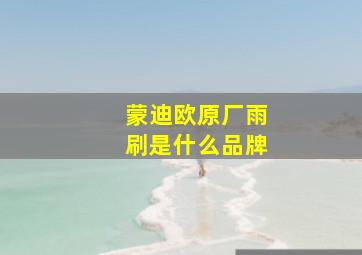 蒙迪欧原厂雨刷是什么品牌