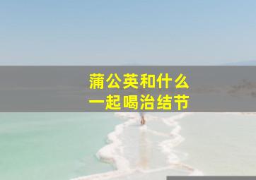 蒲公英和什么一起喝治结节