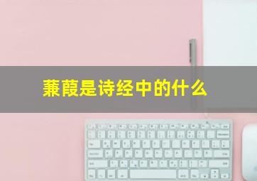 蒹葭是诗经中的什么