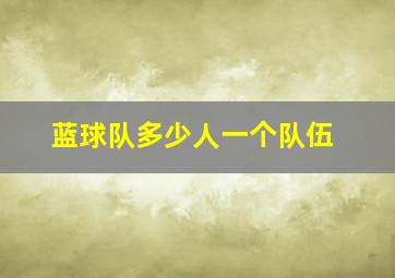 蓝球队多少人一个队伍